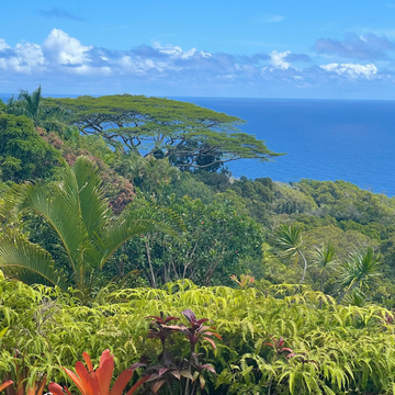 <em><strong>Why We Use Reusable Burlap & Jute Bag Packaging?</strong></em>